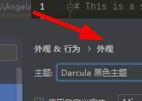 PyCharm如何更换外观主题 PyCharm外观主题切换方法一览图2