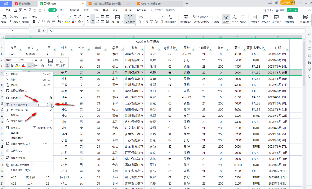 wpsexcel如何一次性增加多行 excel批量插入多行方法分享  图3