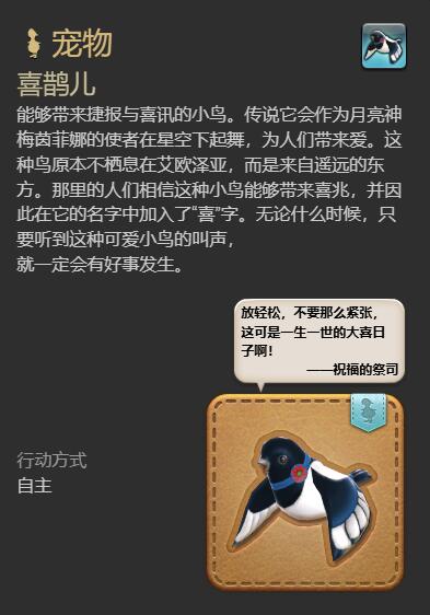 ff14喜鹊儿获得方法图7