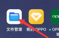 oppok11电话录音记录在哪找 oppo查看通话录音记录方法介绍图1