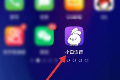 小白语音如何打开悬浮球 小白语音启用语音悬浮球功能操作步骤介绍图1