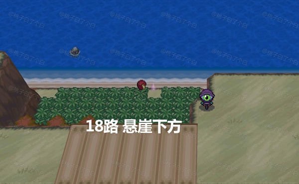 Pokemmo2023万圣节全鬼火收集攻略图14