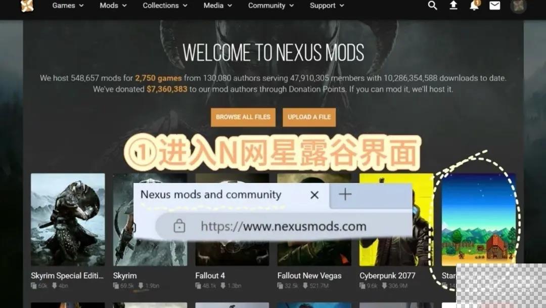 星露谷物语mod安装教程图2