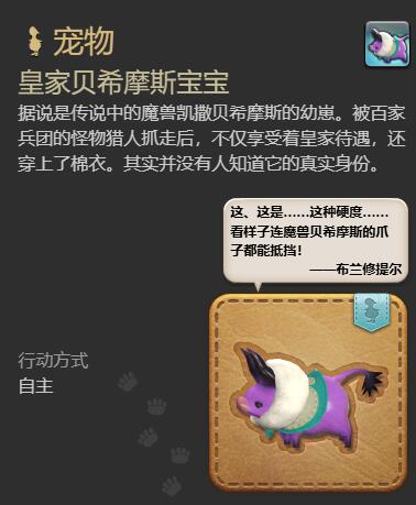 ff14皇家贝希摩斯宝宝宠物获得方法图6