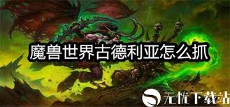 魔兽世界wlk古德利亚在哪里捕捉 魔兽世界wlk古德利亚抓取地点指南图2